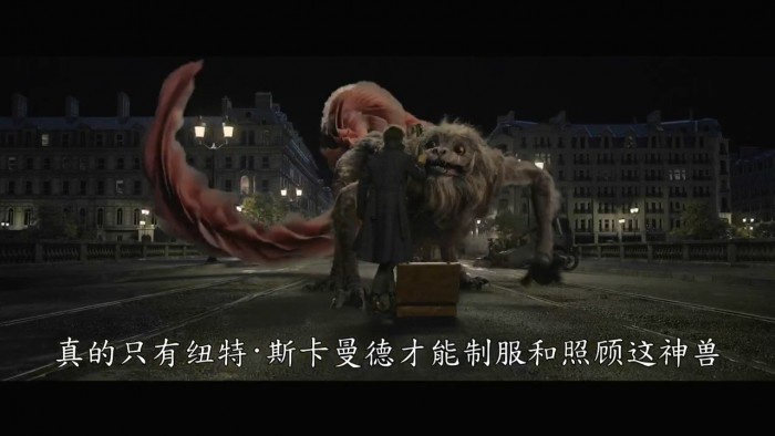 哈利波特伏地魔爱宠纳吉尼身世揭秘,神奇动物2美女蛇展露真容