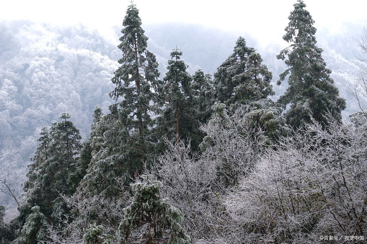 平南丹竹雷公山旅游区图片