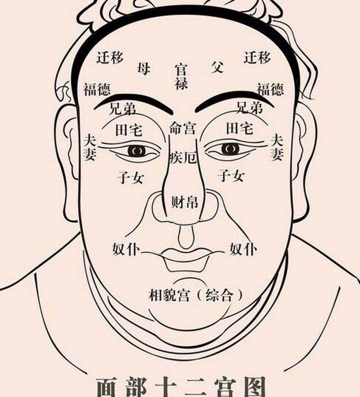 日角月角凸起面相图片