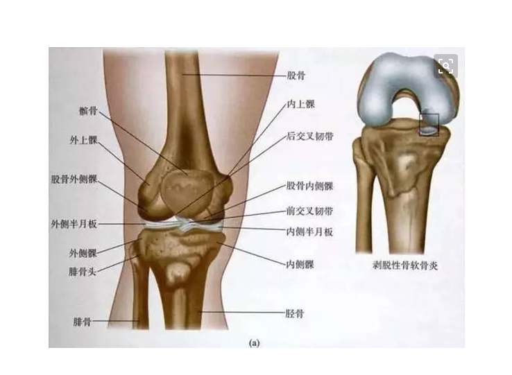 半月板损伤了?膝盖疼腿麻,坐立不安,这技巧三分钟立马见效!