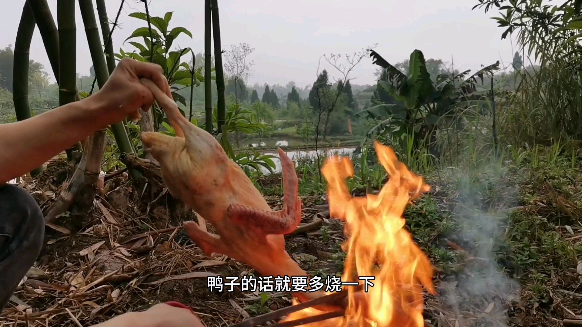 家乡美食,一道正宗的酸萝卜老鸭汤,你不嘴馋吗?