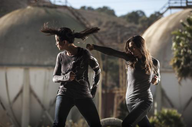 为什么打完架之后会浑身发抖,是因为害怕吗?科学的答案来了