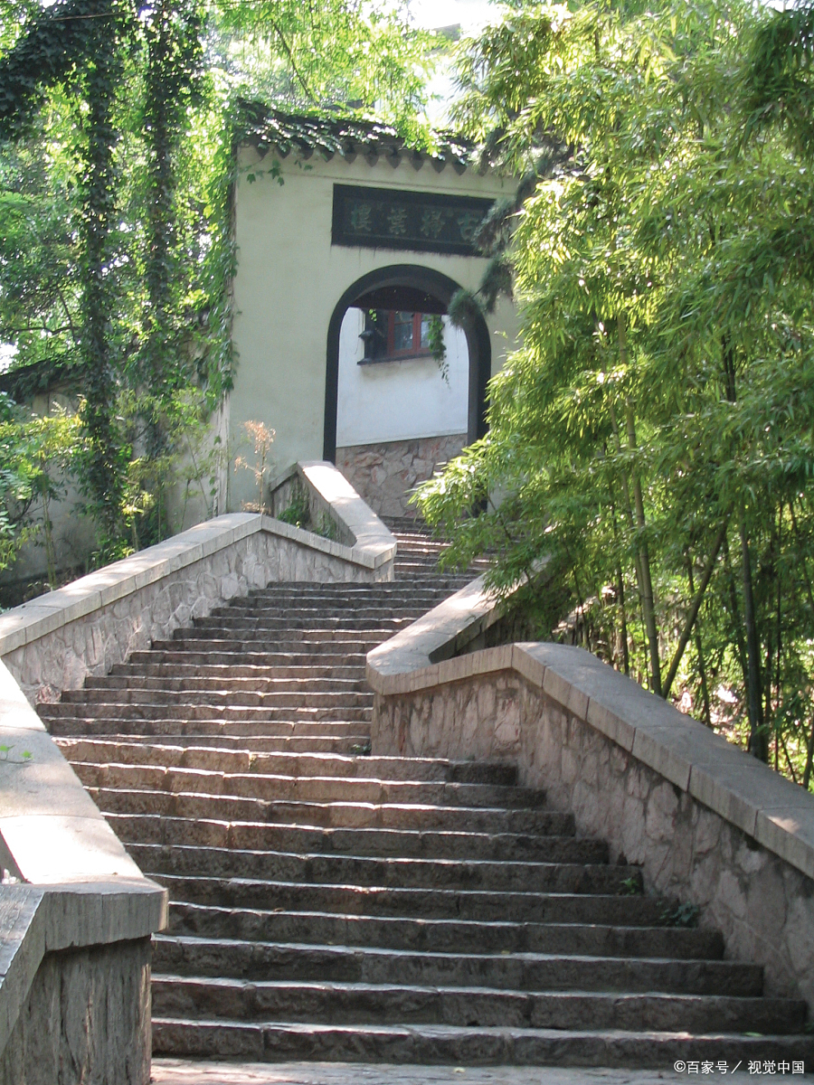 桃江竹海风景区介绍