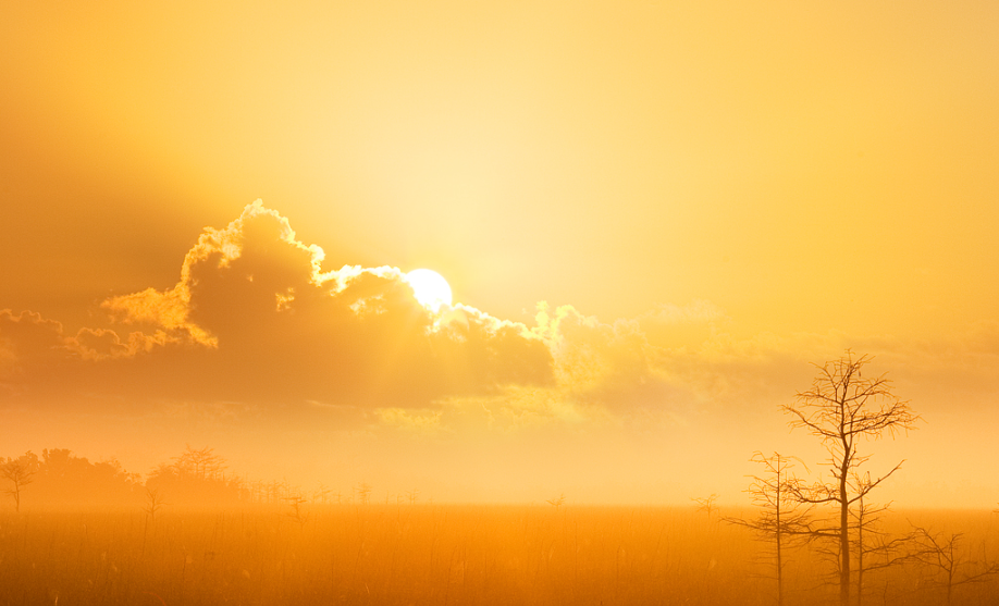 摄影技巧分享:远处地平线上升起的太阳的美丽所震惊