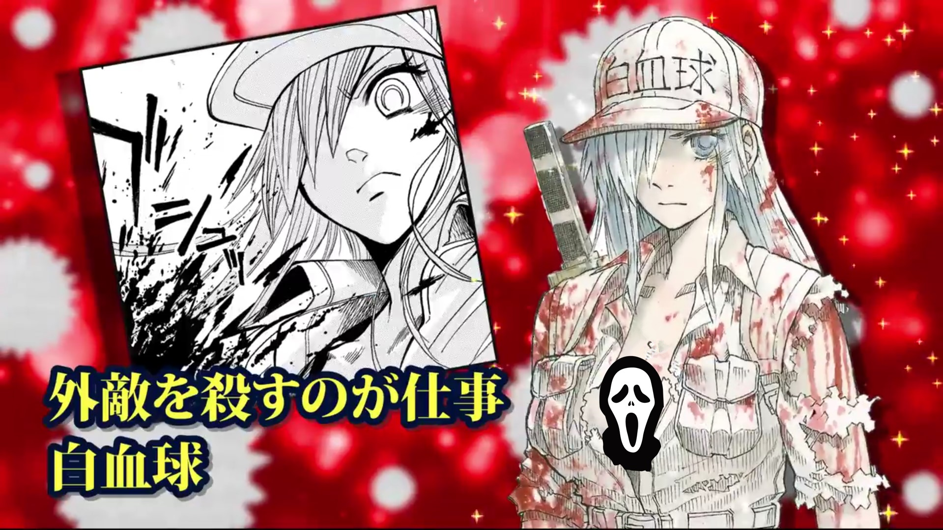 性转版《工作细胞》动画化,白细胞帅哥变凶残御姐,好a一女的