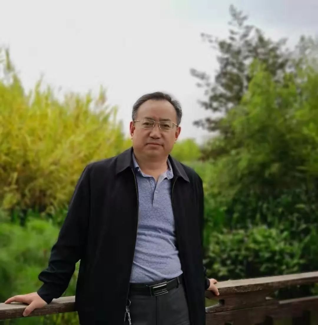 张新平教授:我的学习之路|治学大家谈