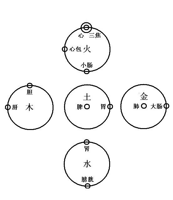 帶你瞭解臟腑