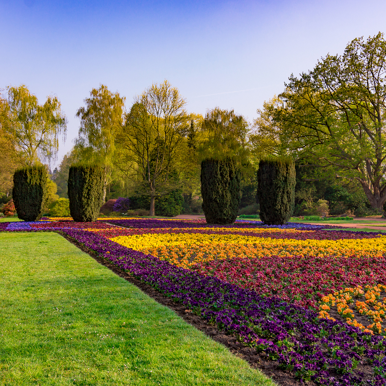 镜头里的春天#  春日的长春植物园,是一轴流动的生命画卷,诉说着春的