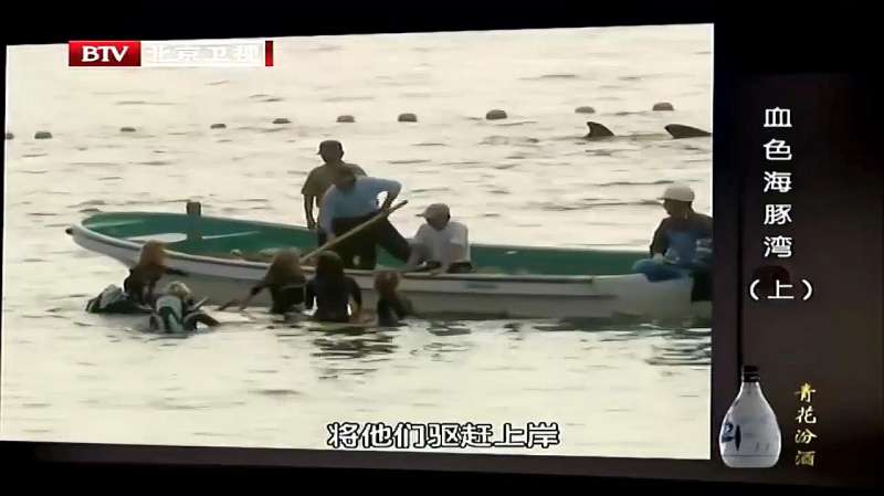 男子拍摄捕杀海豚现场，却遭到当地人阻拦，这一幕令人愤怒,社会,奇闻,好看视频