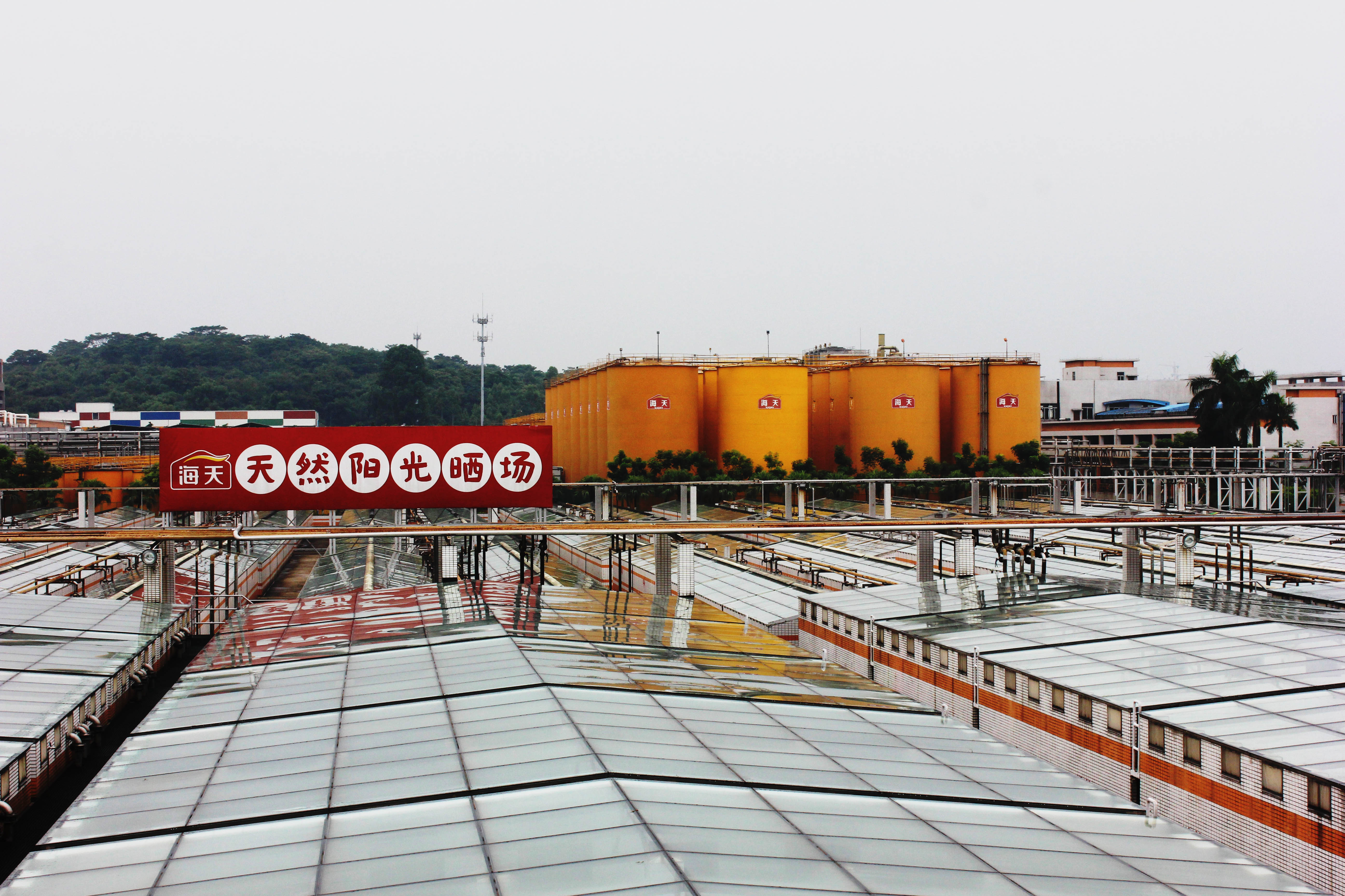 海天酱油质取全球市场