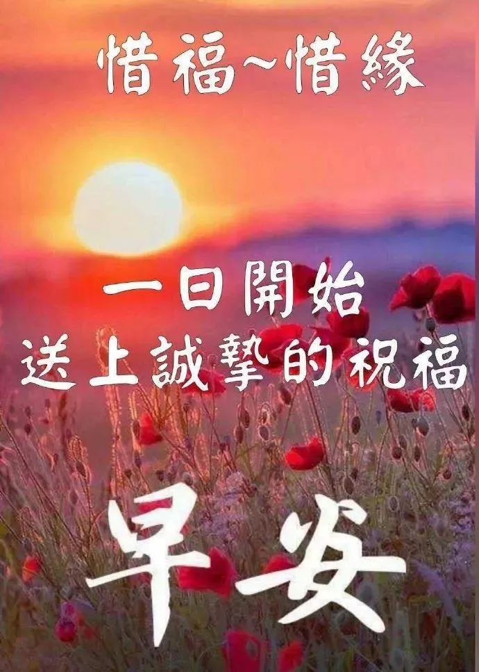 想念情人早安图片图片