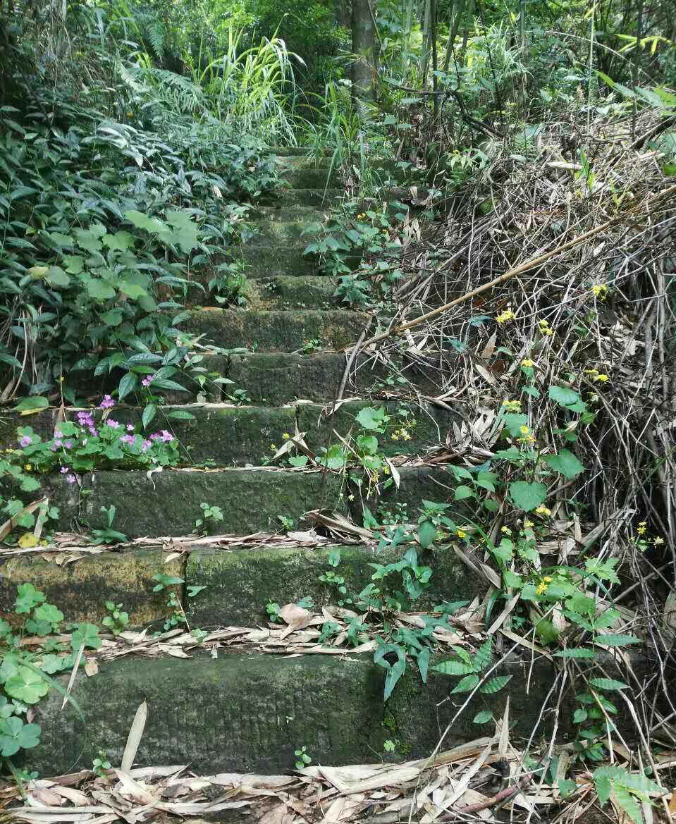 观赏重庆夜景的野景点——涂山雕塑公园,人少景美