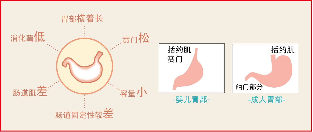 三个月宝宝胃示意图图片