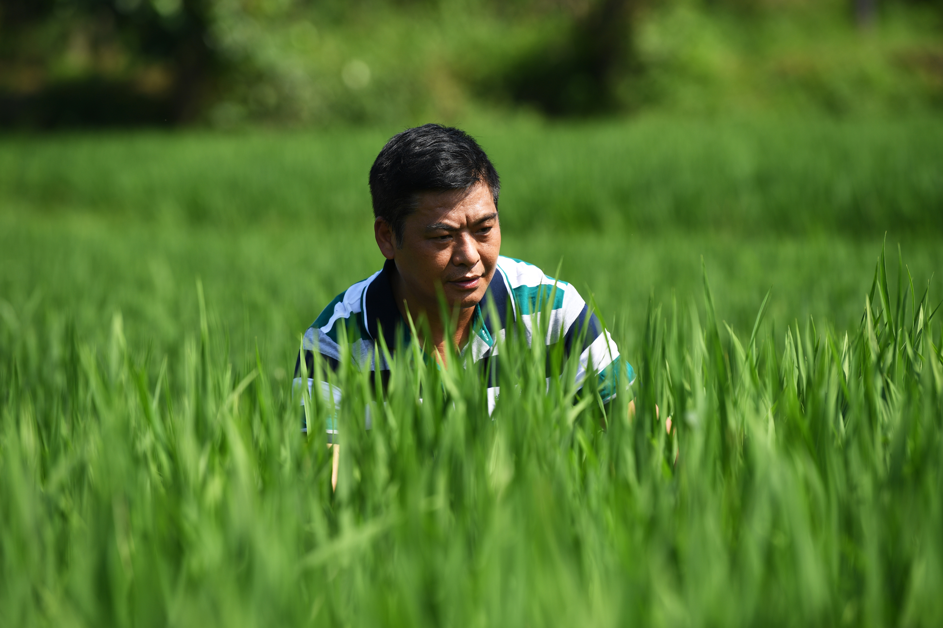 公司高管返乡创业成为"新农人"(6)