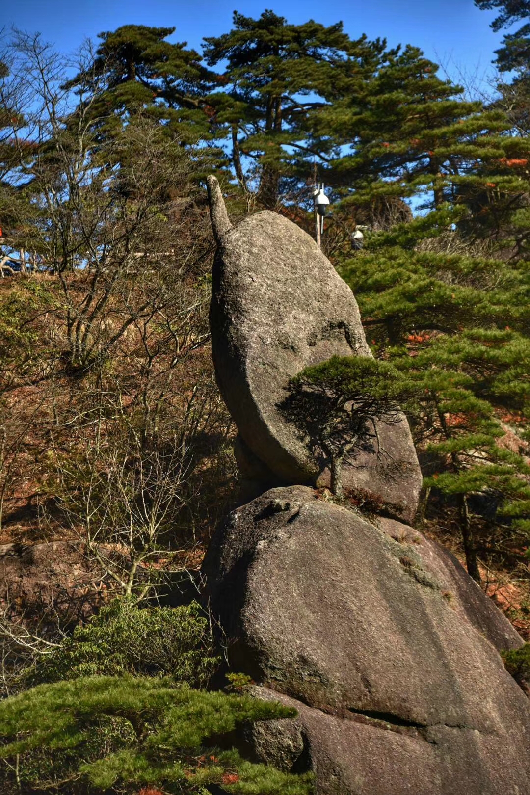 怪石,黄山上最美的风景