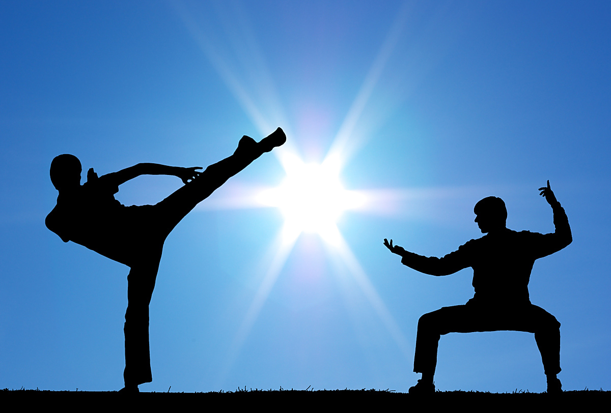 白猿通臂拳:武林一枝独秀,门派众多,却亦面临失传危机