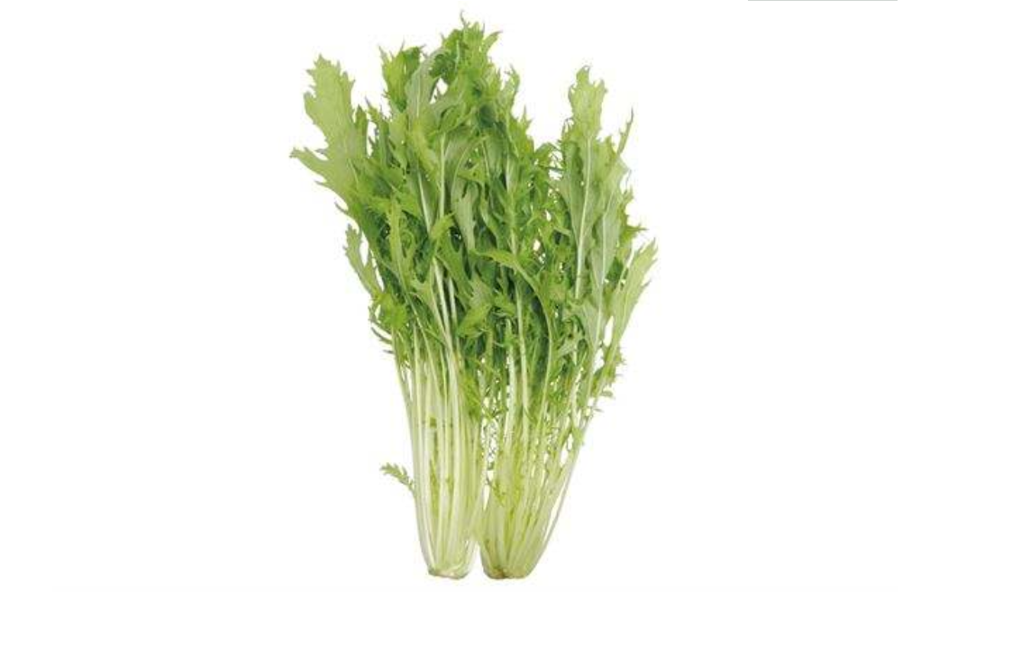 百度爱采购首页 商品专题_蔬菜营养价值:京水菜富含维生素c,钙,钾,钠