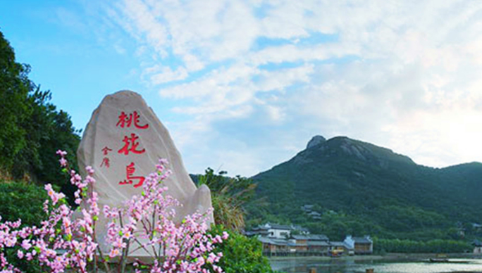 桃花岛—舟山群岛的第七大岛区