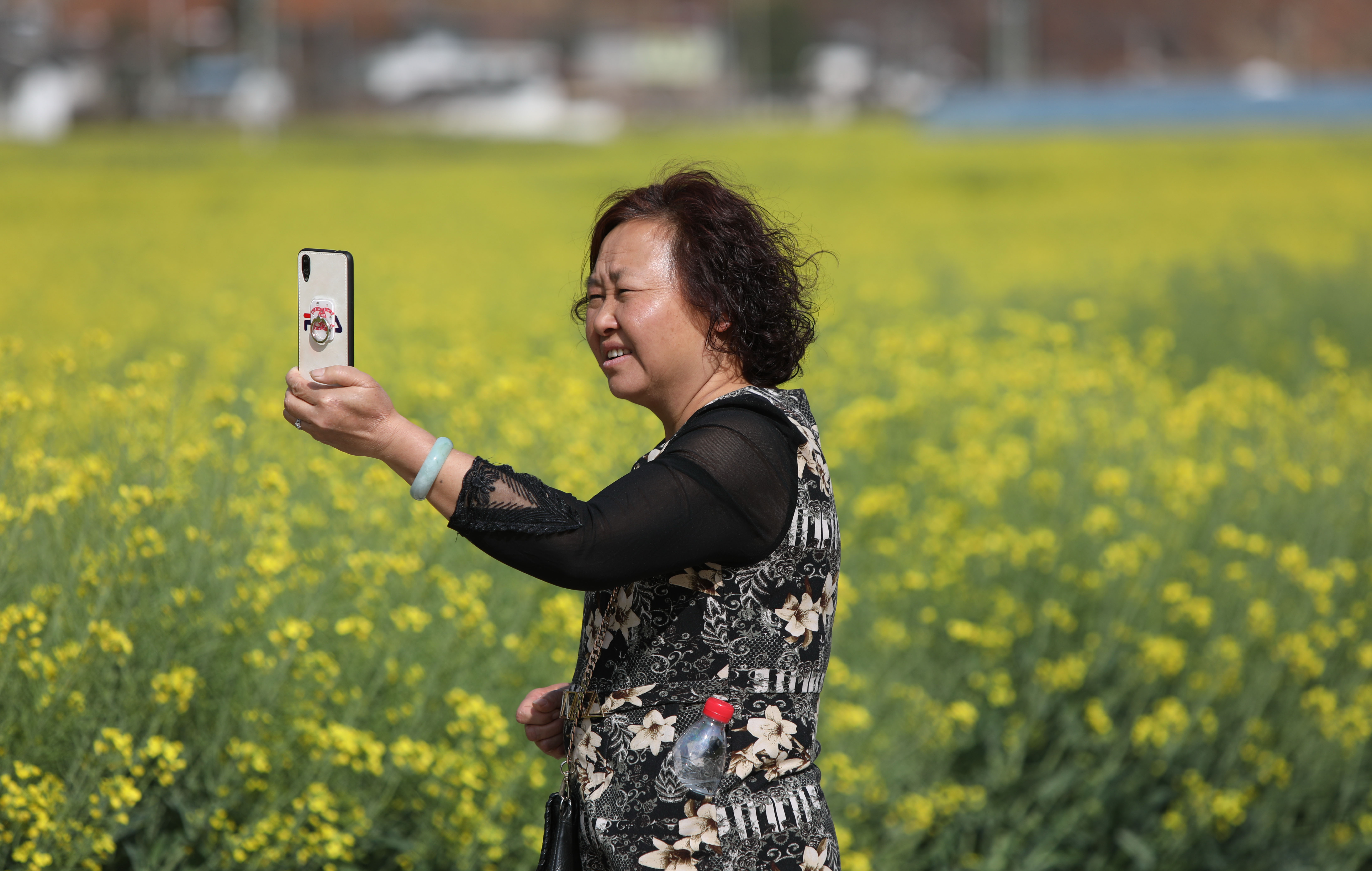 米易普威镇油菜花图片