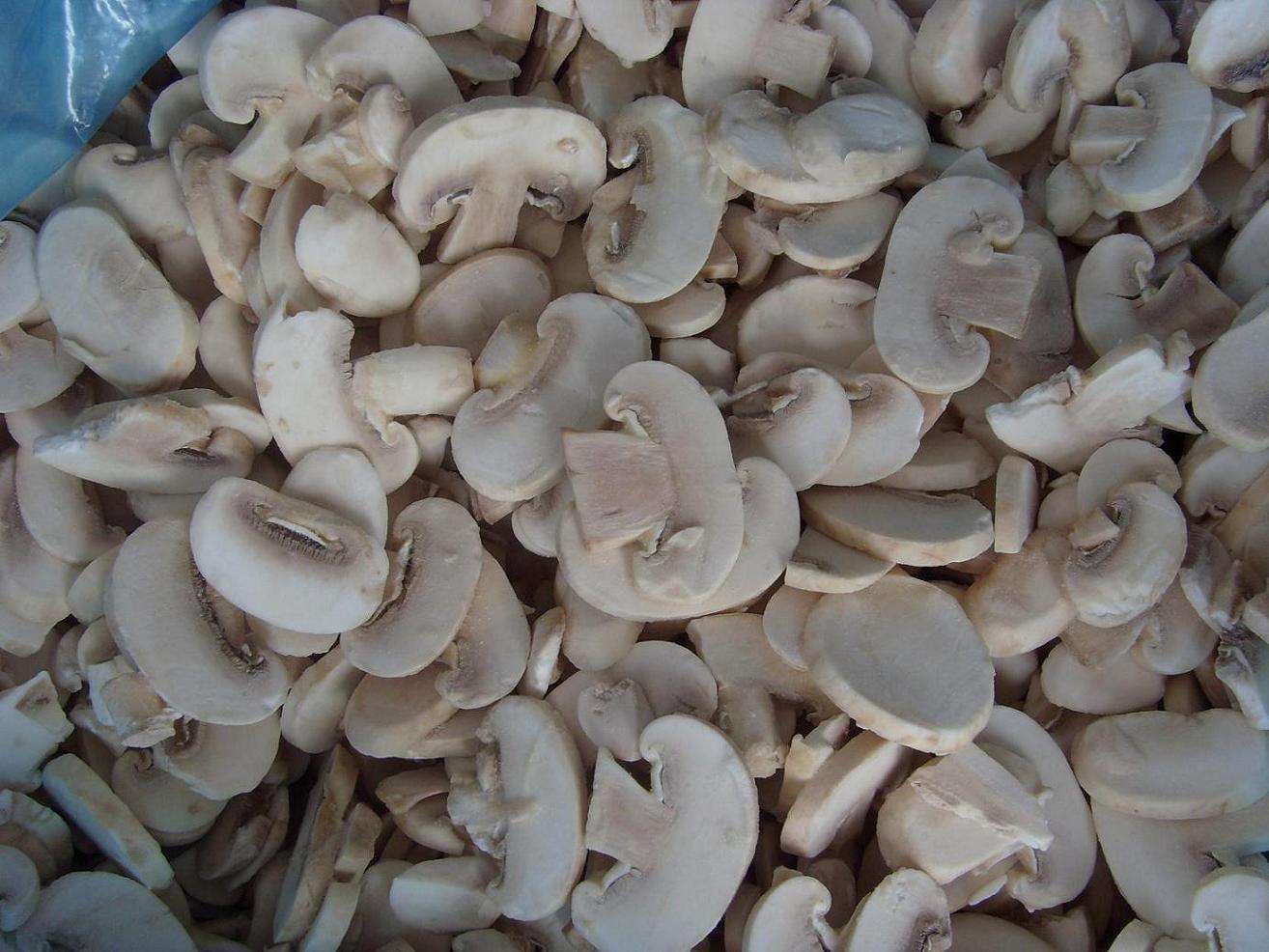 世界公认的农产品双孢菇:人工栽培的时候,这4个方面缺一不可!
