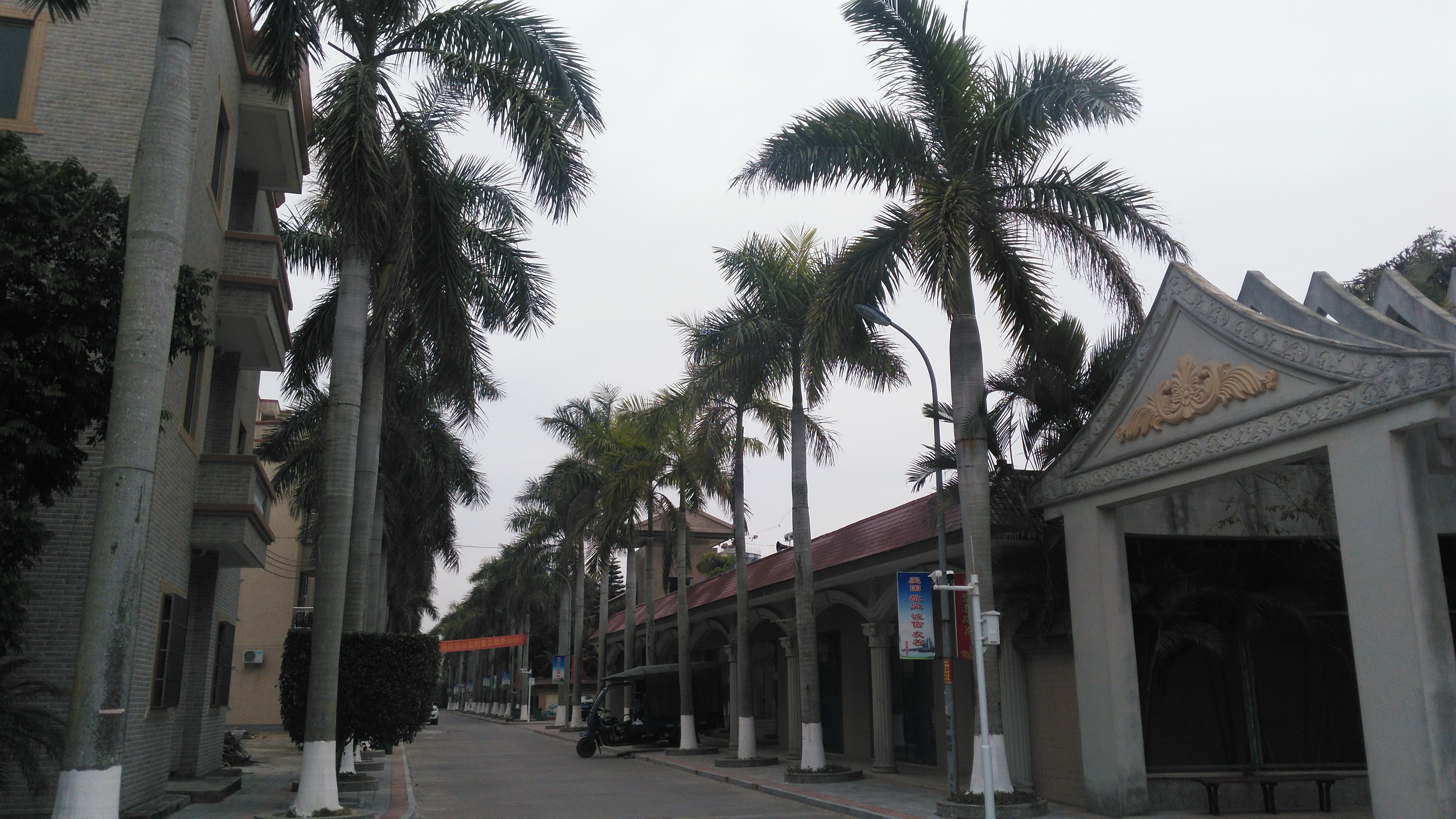 湛江吴阳镇蛤岭村,当地一条家喻户晓的文明村