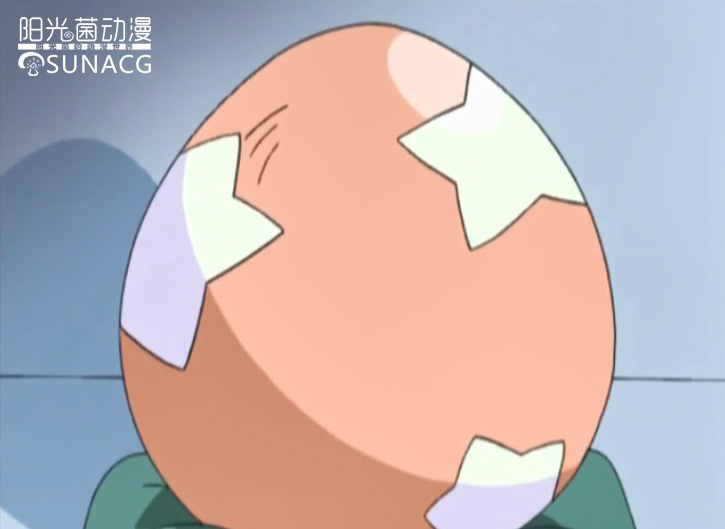《精灵宝可梦》系列动画中的神奇宝贝蛋,仅凭纹样能认出几个?