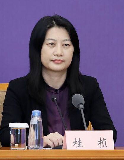 国家医保局美女司长图片