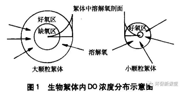 一文概括!短程硝化反硝化与同步硝化反硝化的区别!