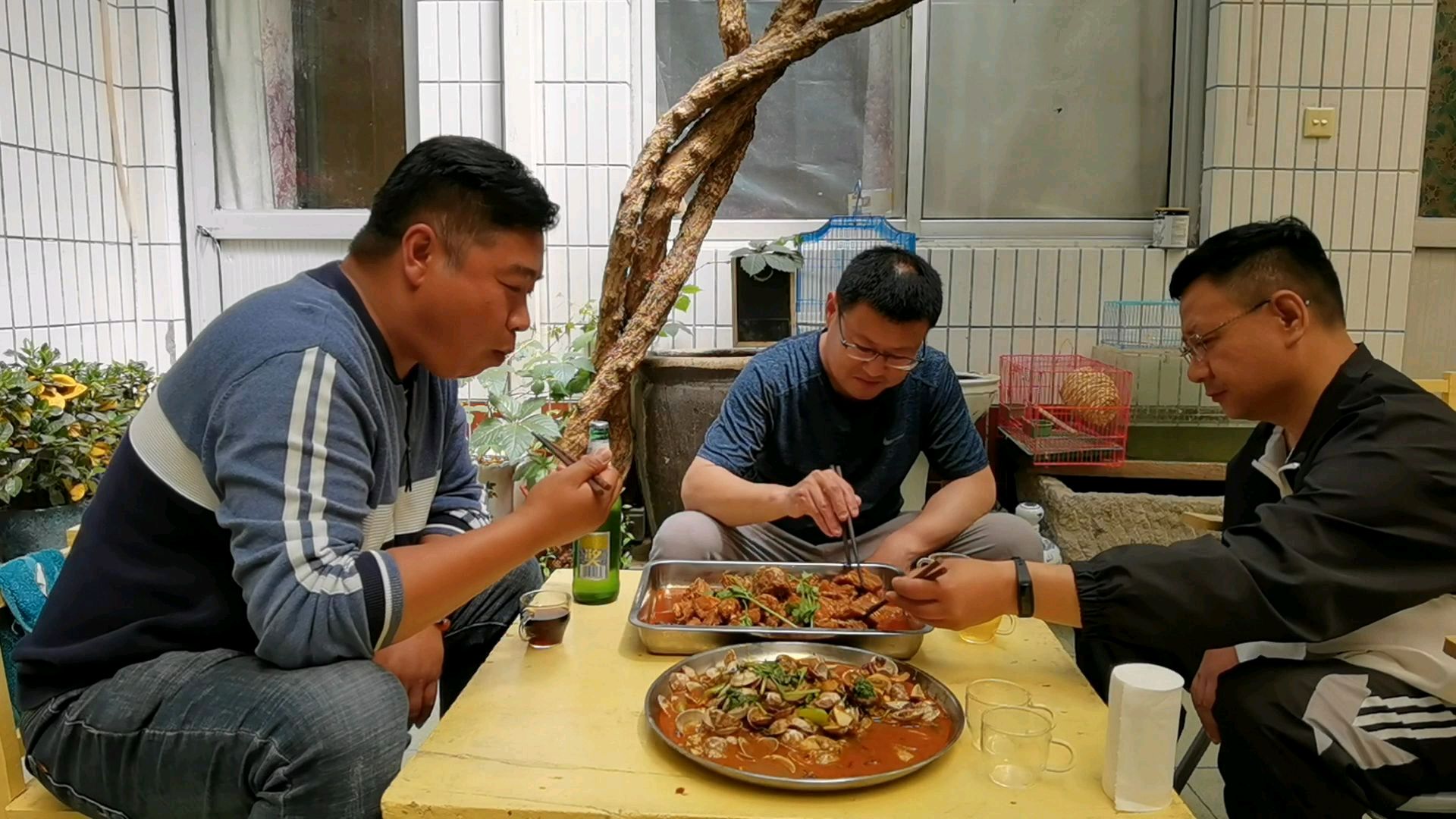 集市逛逛,买了只兔子,红焖兔块,兄弟大喊太好吃了
