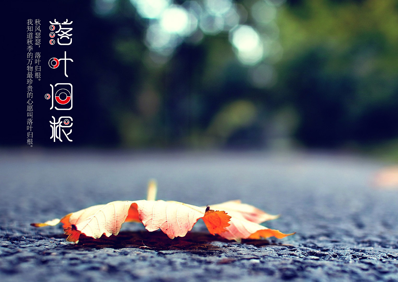 哲理诗:从一粒沙看世界,从一朵花看天堂