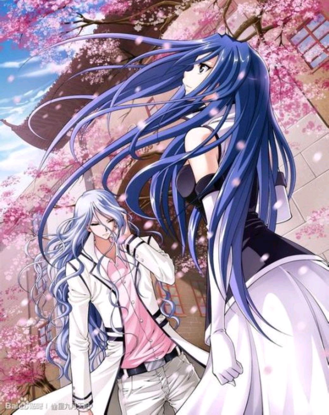 《偷星九月天》中"黑月铁骑"的影子组织"暗月骑士"成员介绍