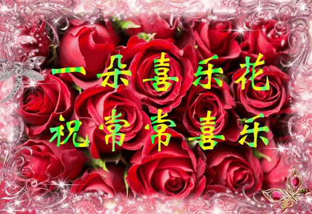 今天大年三十,送你9朵花,还有一份祝福!真是太美了!