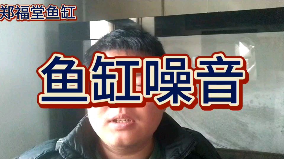 鱼缸噪音怎么做到没有声音呢?