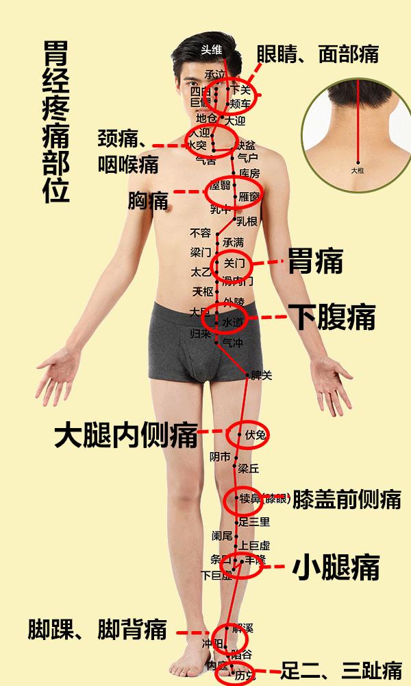 人体器官疼痛位置图片