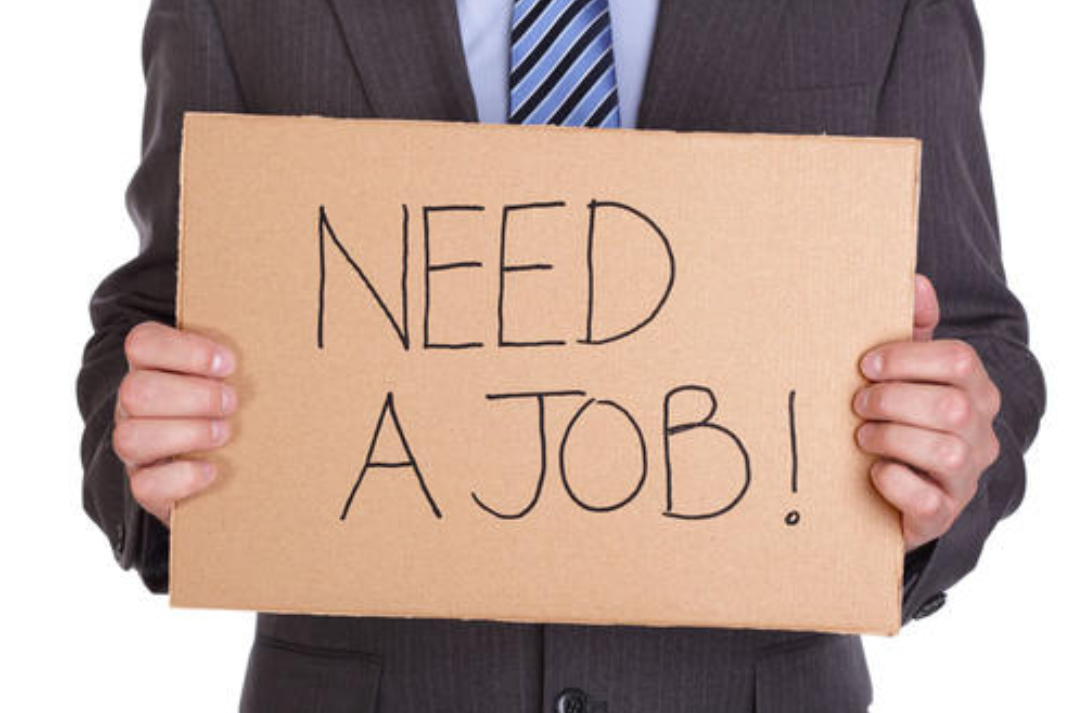 春招正当时,这些关于就业的英语表达你会吗?