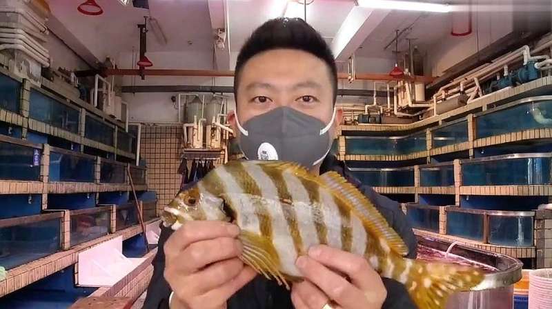 凌驾四大鱼王，三刀鱼，极其稀有非常昂贵,美食,美食节目,好看视频