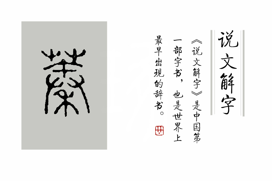 《说文解字》第86课:"桃之夭夭,其叶蓁蓁","蓁蓁"什么意思