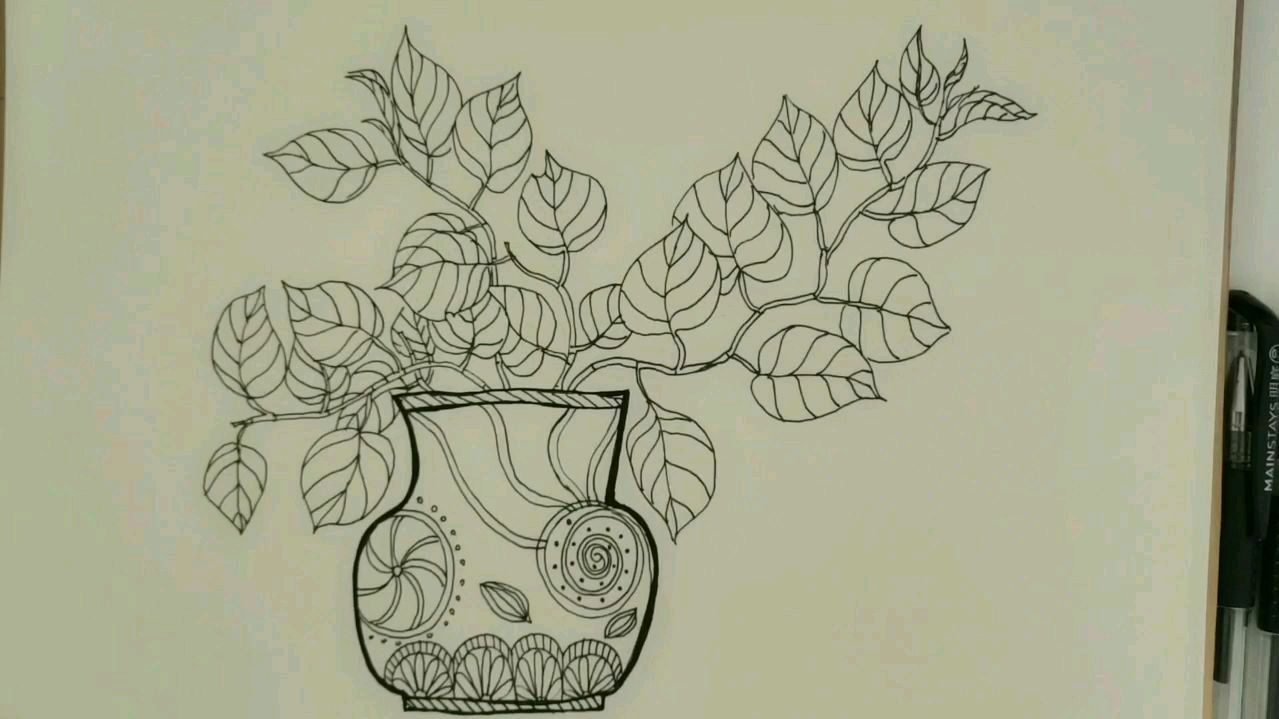 植物简笔画,家里水培的绿萝~