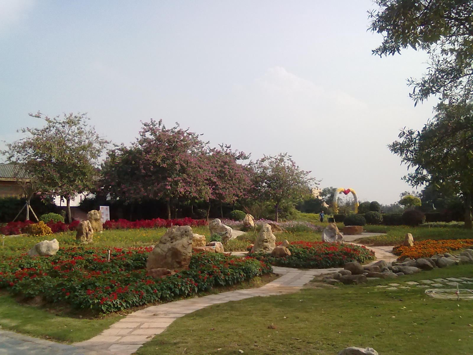 东莞梦幻百花洲实拍,带你们去看花啦