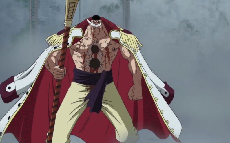 海贼王:四皇白胡子为何不击杀赤犬?白胡子海贼团的未来是主因