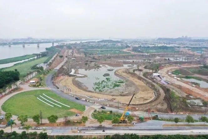 "数"立信心 | 李立宇:江门人才岛将以"决战"状态奋力实现年度目标