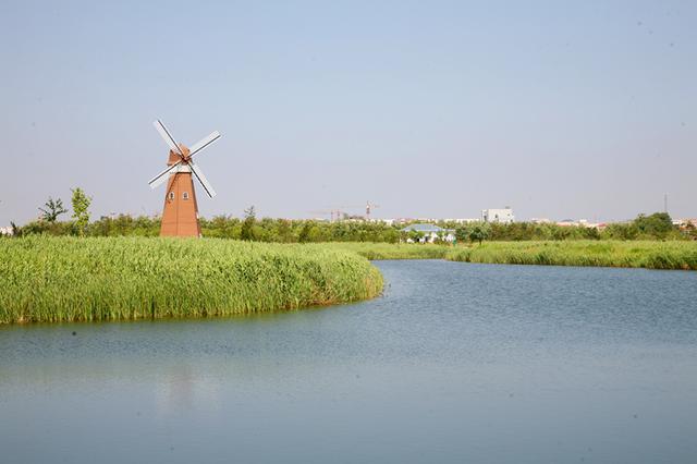 荣县湿地公园图片