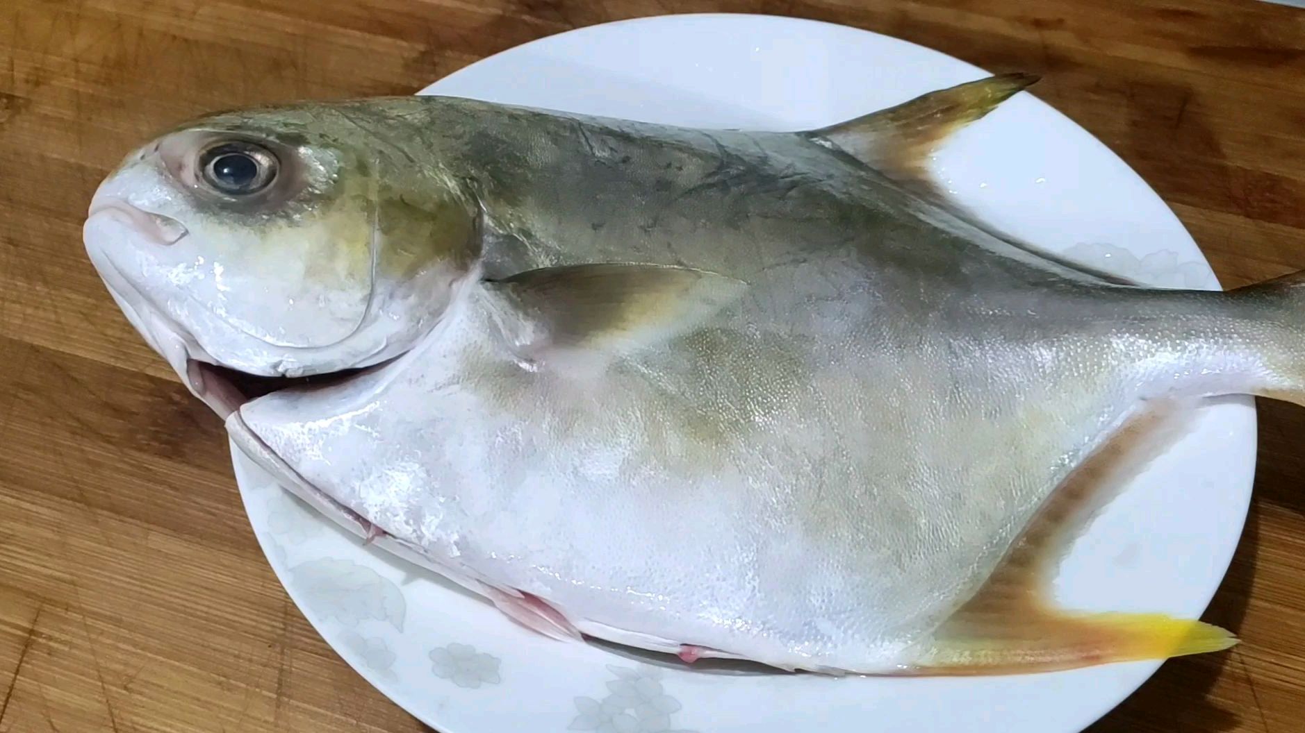 清蒸金鲳鱼怎么做才好吃?大厨教你正确做法,肉质鲜嫩无腥味