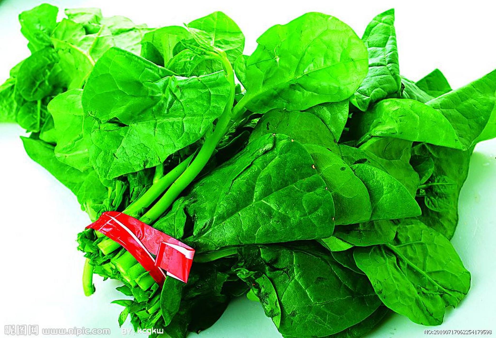 遇见美好#豆腐菜又名"西洋菜"等,属落葵科一年或多年生蔓生草本植物