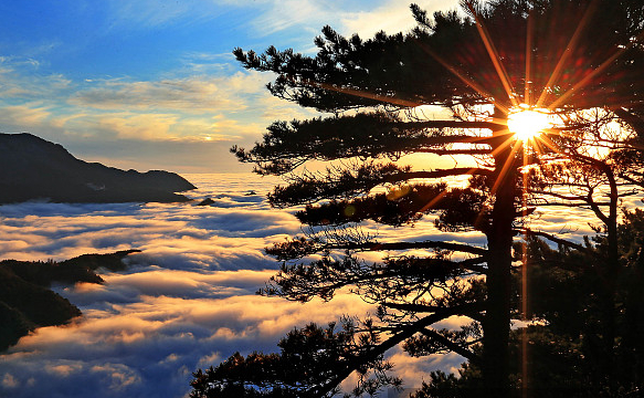 庐山含鄱口是观日出的最佳胜景,其实也是赏月的好去处.