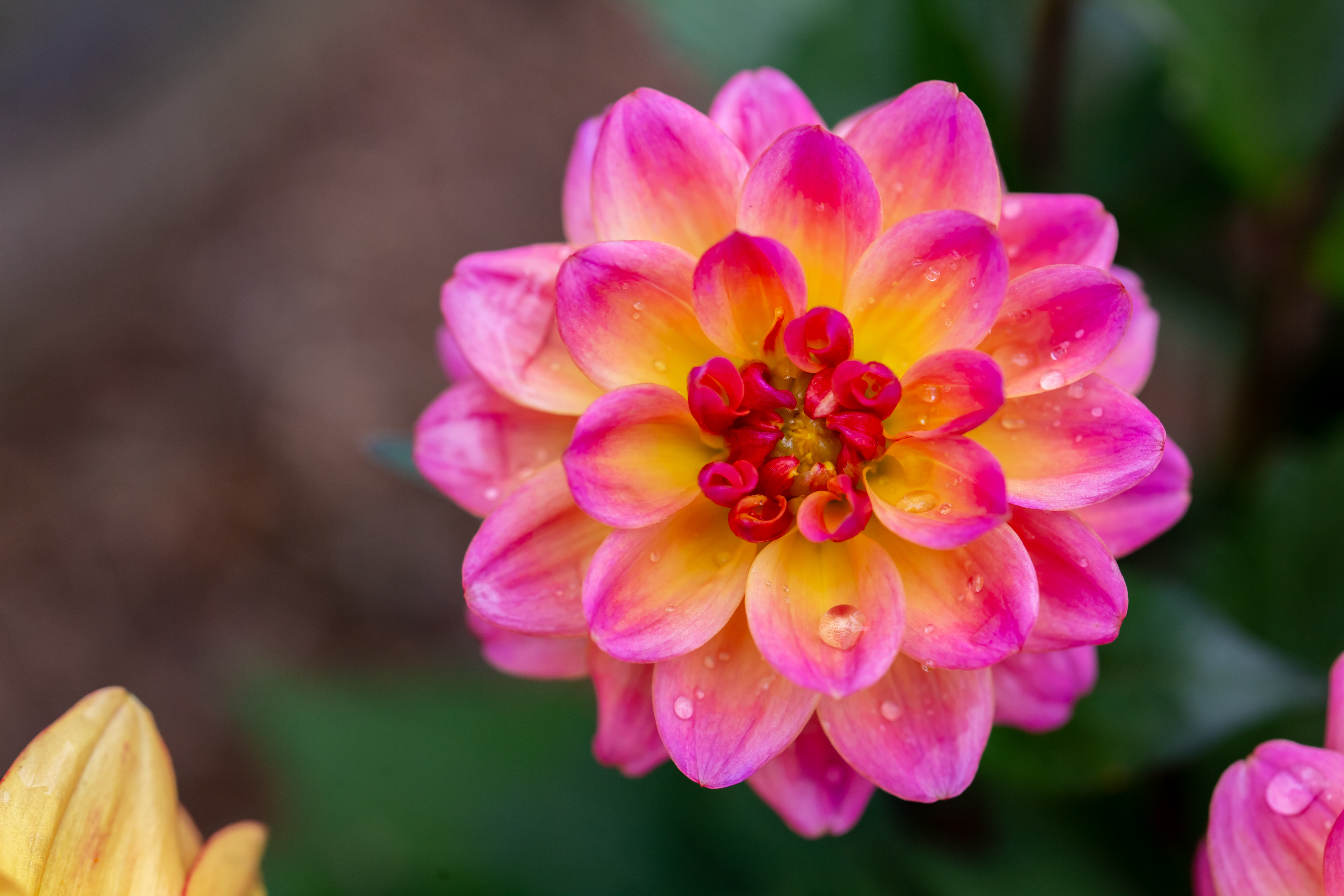 交易二手摄影器材时,有一种方式打死都不要同意!