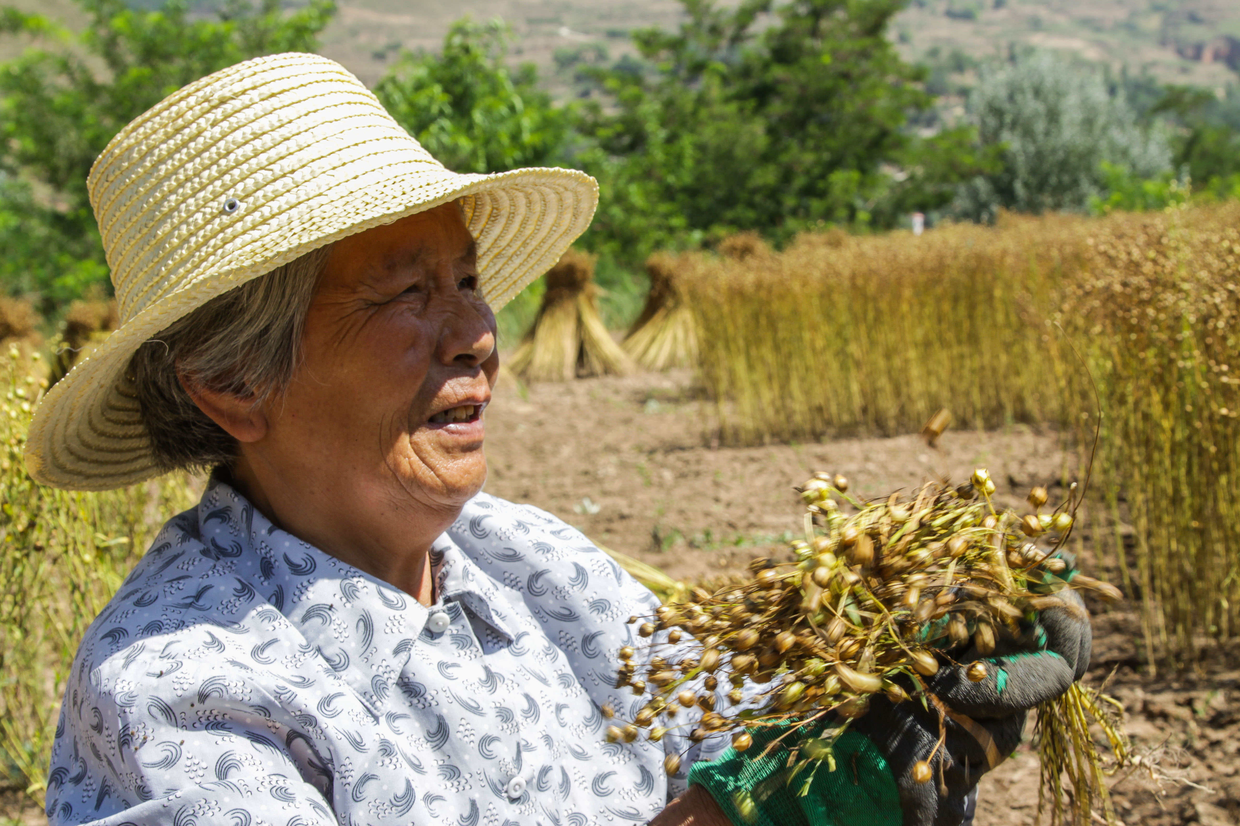 有一天我们终将老去,走进甘肃农村,看老奶奶的生活现状