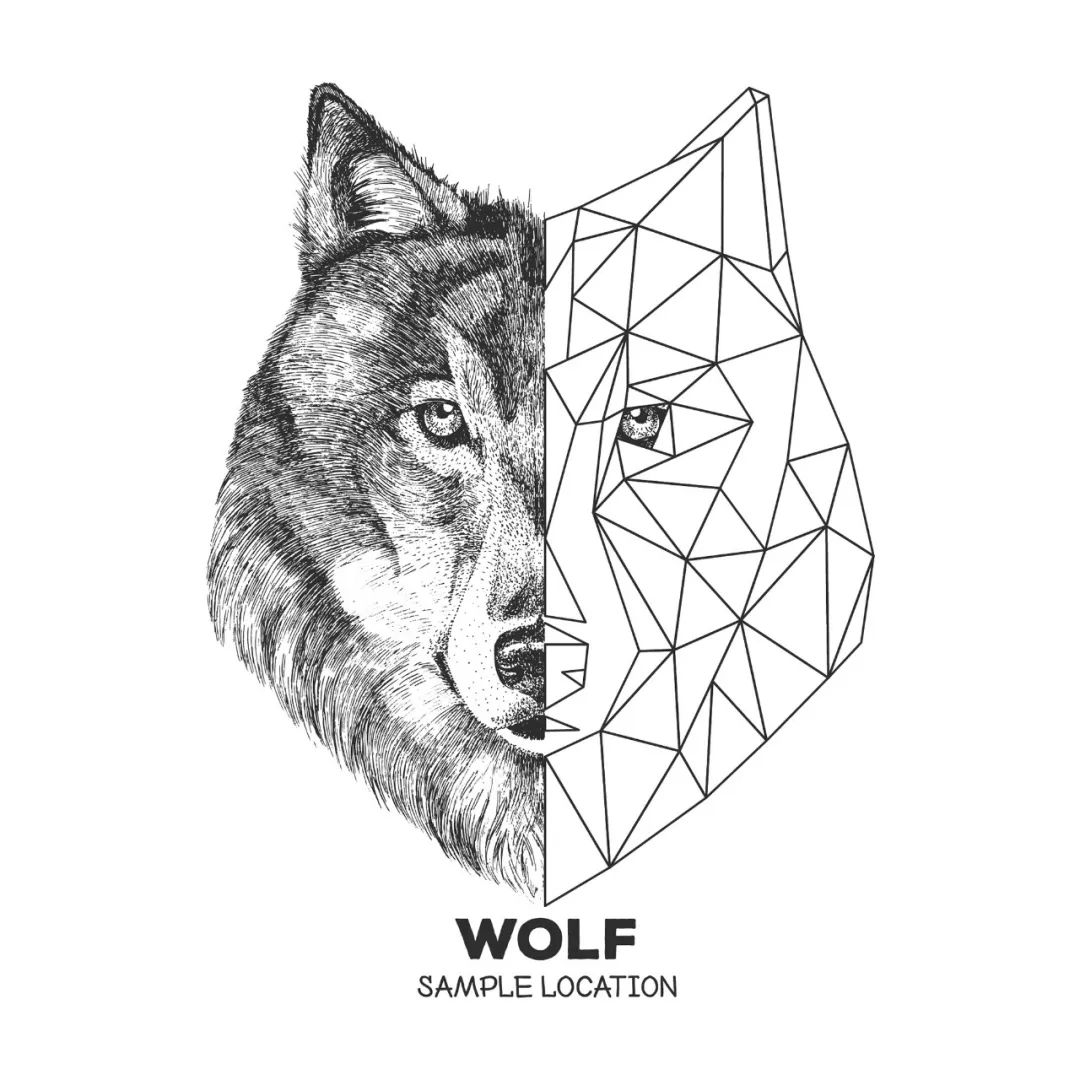 简约动物线性图案,用艺术美感突破单调男装!