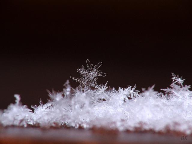 微距雪花摄影如何拍?每一片雪花竟然都是独一无二!