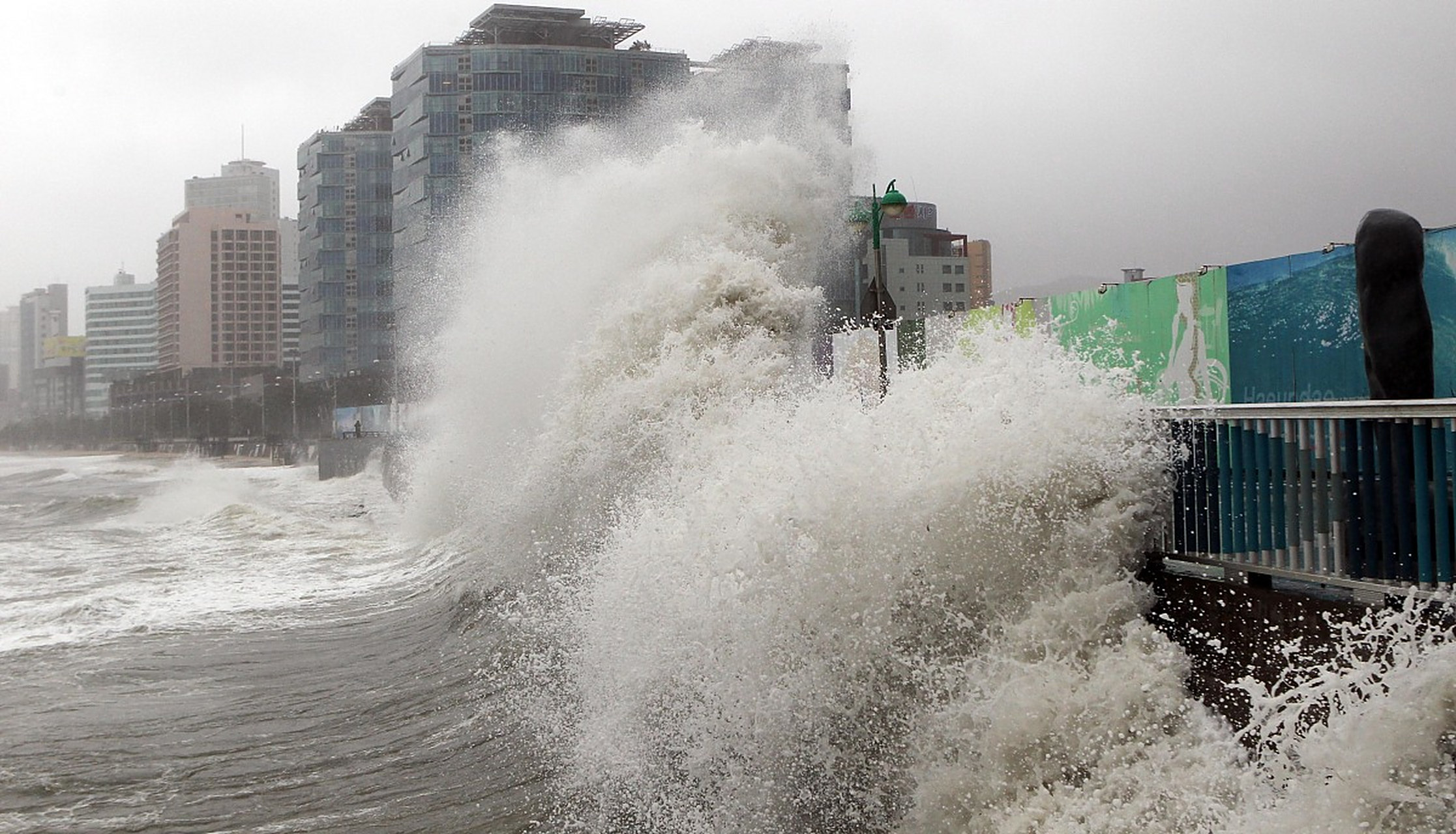 预计今年第5号台风"杜苏芮"将逐渐向福建福清到广东饶平一带沿海